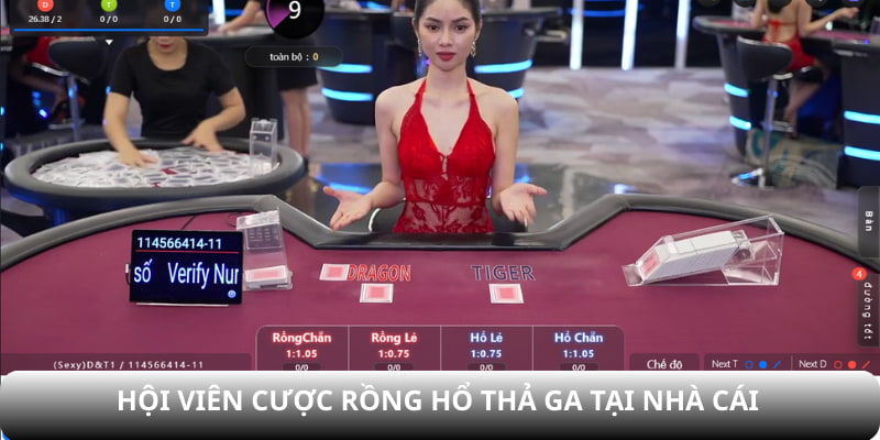 Hội viên cược Rồng Hổ thả ga tại nhà cái