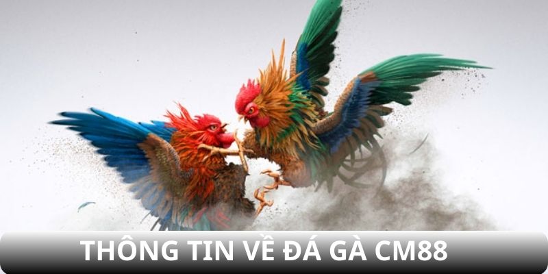 Thông tin về đá gà CM88